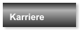 Karriere